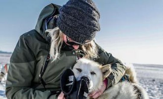 Winter Dog Sledding Tour