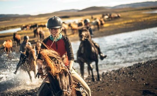 Afternoon Horse Riding From Reykjavik