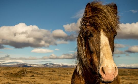 Our Iceland Day Tours in 4x4